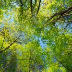 3 Tage Neu-Aus-Richtung